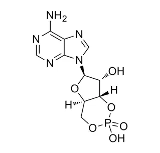 Adénosine Cyclphosphate CAS 60-92-4