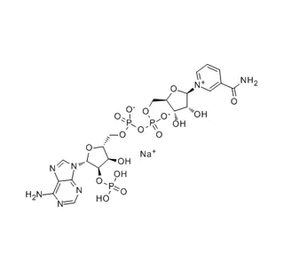 Sel monosodique de Phosphate de dinucléotide d'adénine de bêta-Nicotinamide (nadp-na) CAS 1184-16-3