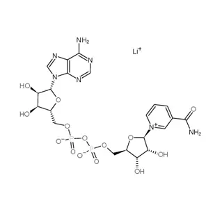 Sel de Lithium de dinucléotide d'adénine de bêta-Nicotinamide (NAD Li) CAS 64417-72-7