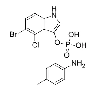 5-Bromo-4-chloro-3-indolyl Phosphate p-toluidine sel CAS 6578-06-9