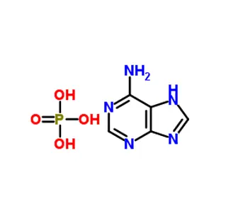 Phosphate d'adénine CAS 70700-30-0