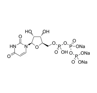 Sel trisodique Uridine-5-triphosphoricAcid CAS 19817-92-6