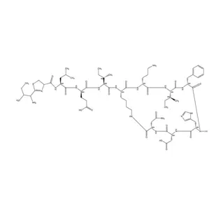 Bacitracine CAS 1405-87-4
