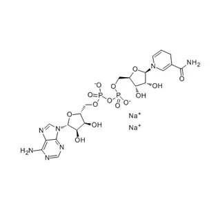 Bêta-Nicotinamide adénine dinucléotide sel disodique forme réduite (NADH) CAS 606-68-8