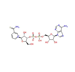 Bêta-Thionicotinamide adénine dinucléotide (thio-nad) CAS 4090-29-3