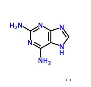 2,6-Diaminopurine CAS 1904-98-9