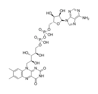 Flavine adénine dinucléotide CAS 146-14-5