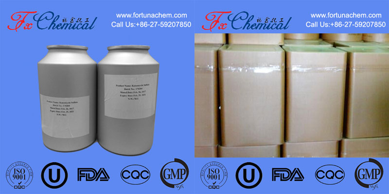 Emballage de Ceftriaxone sodium CAS 74578-69-1