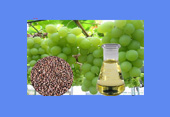 Huile de pépins de raisin CAS 8024-22-4